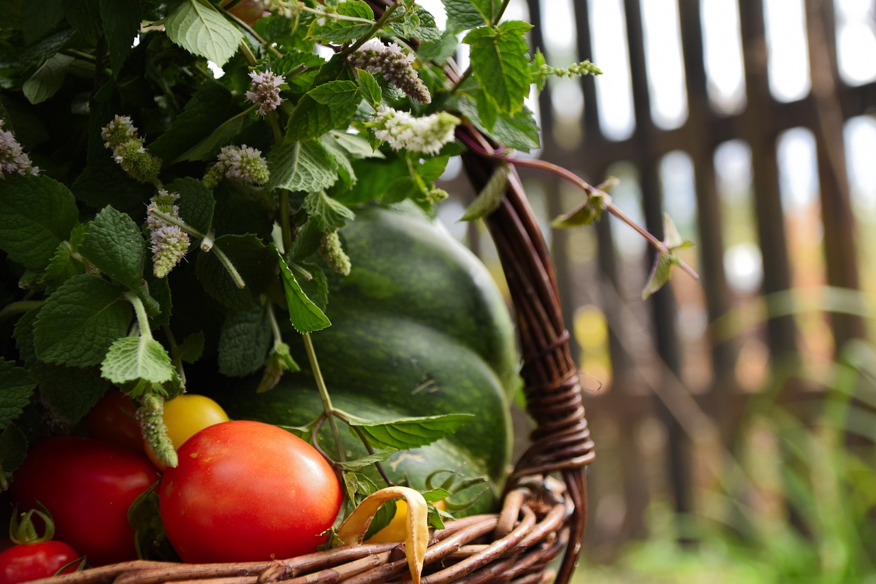 basket, vegetables, scuttle-2648251.jpg